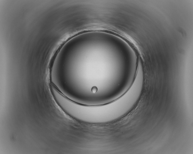 X0000112771472200908271631