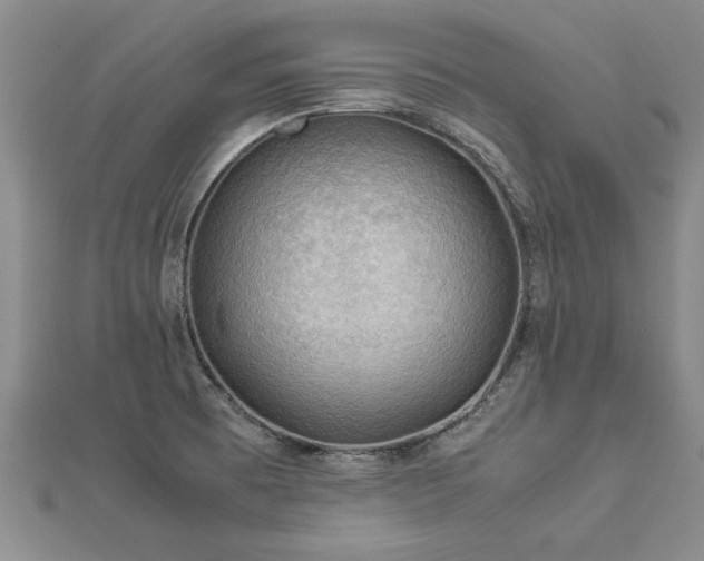 X0000112771473200908271631