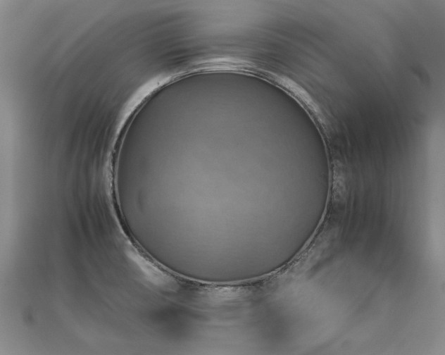 X0000112771474200908271631