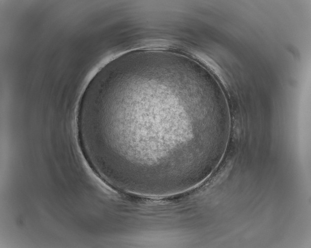 X0000112771475200908271631