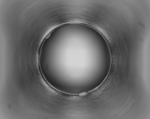 X0000112771476200908271631