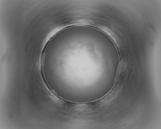 X0000112771477200908271631