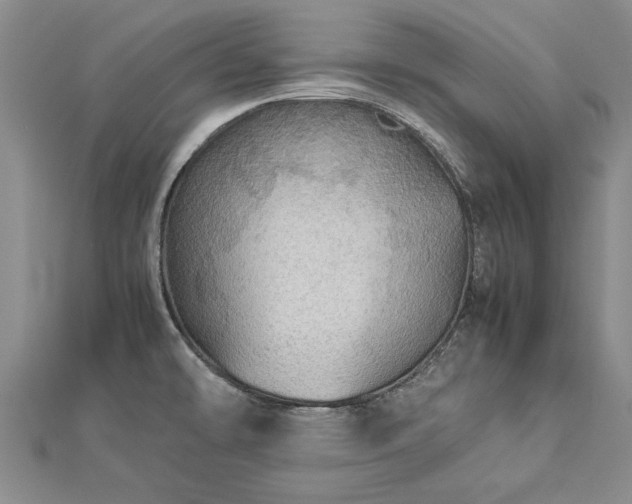 X0000112771478200908271630