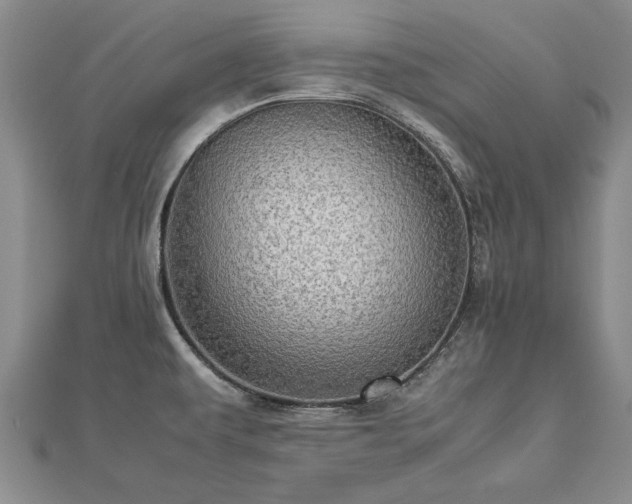 X0000112771479200908271630