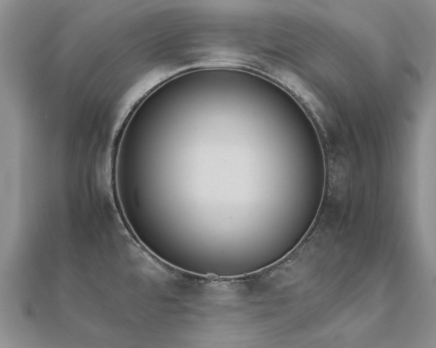 X0000112771480200908271630
