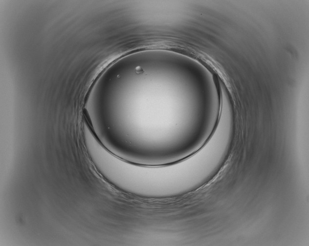 X0000112771481200908271630
