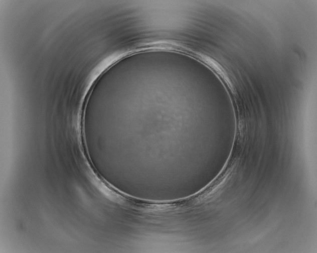 X0000112771482200908271630