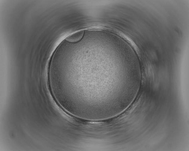 X0000112771483200908271630