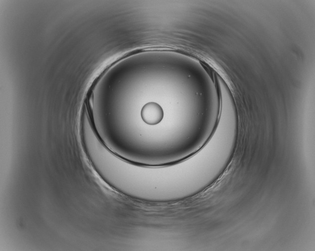 X0000112771485200908271630