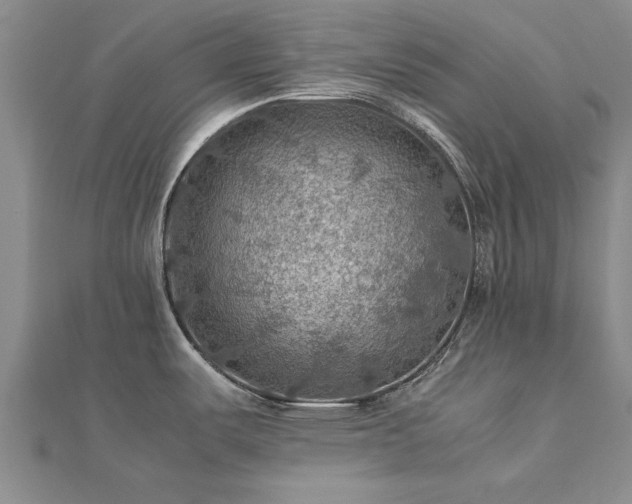 X0000112771487200908271630