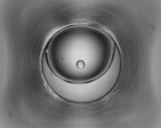X0000112771488200908271630