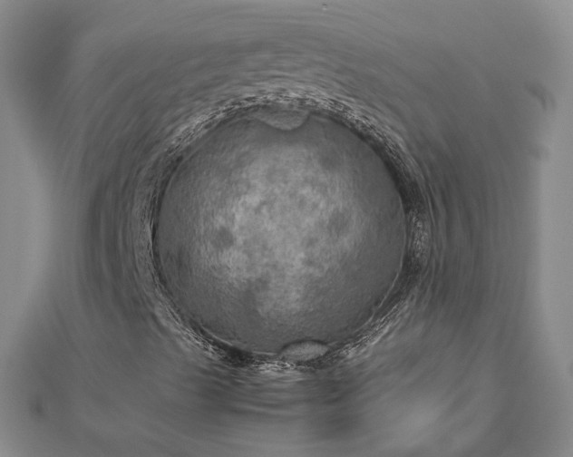 X0000112771489200908271630