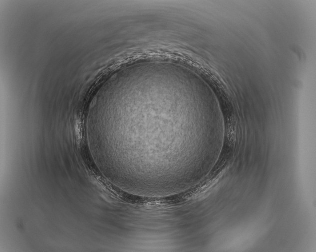 X0000112771490200908271630