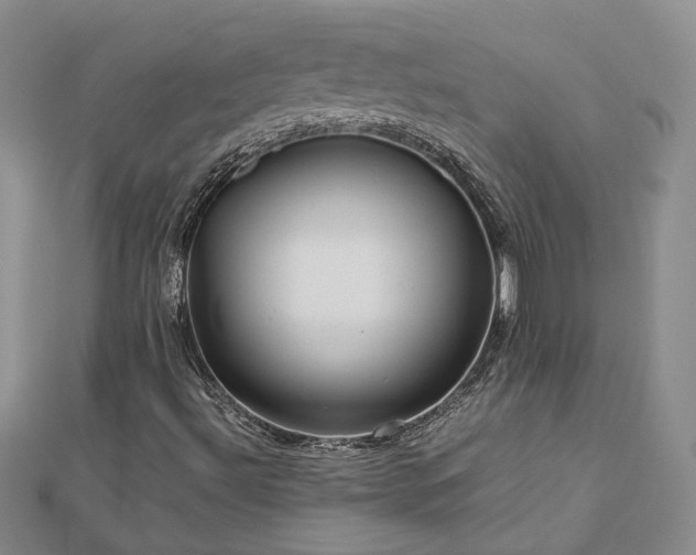 X0000112771492200908271630