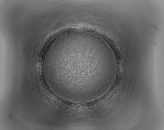 X0000112771493200908271630
