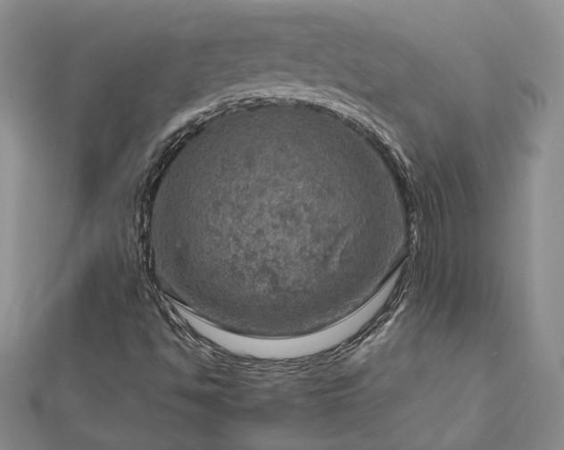 X0000112771494200908271630