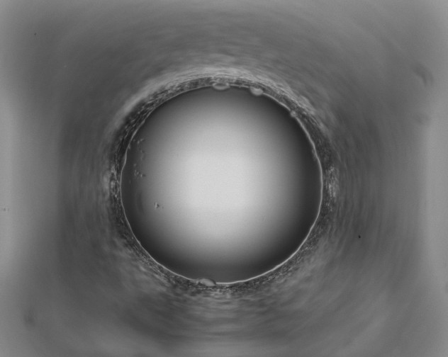 X0000112771495200908271630