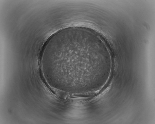 X0000112771497200908271630