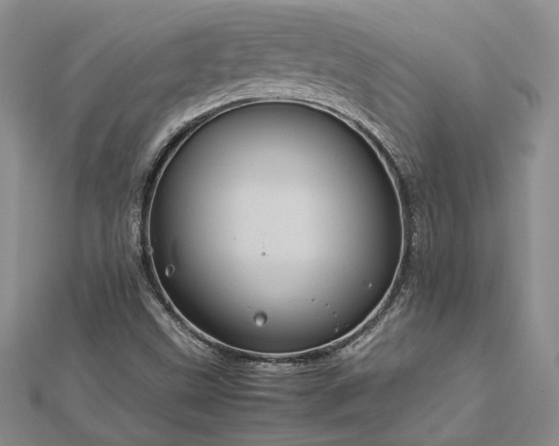 X0000112771499200908271630
