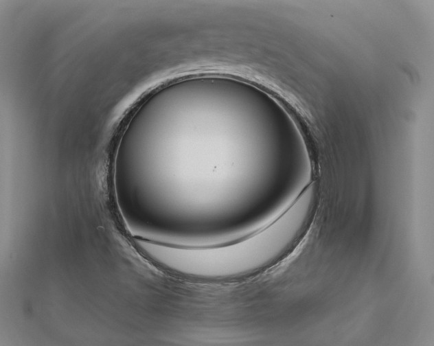 X0000112771502200908271630
