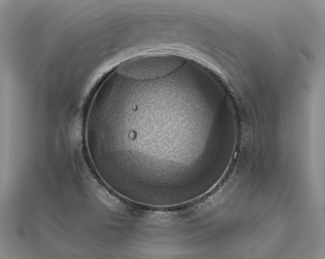 X0000112771506200908271630