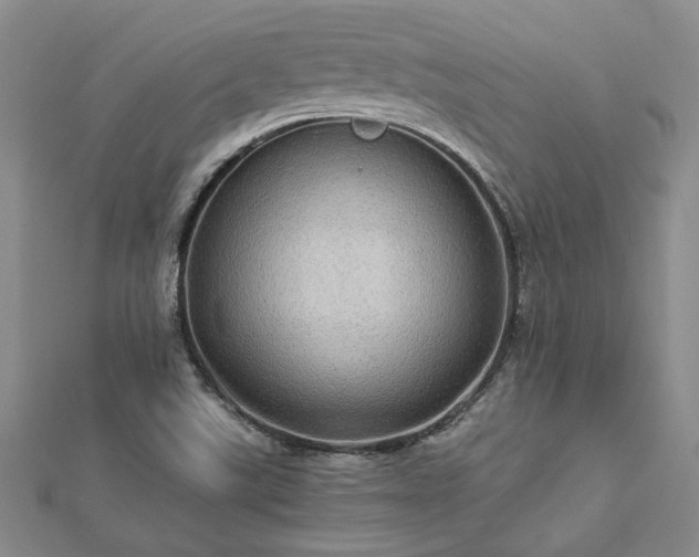 X0000112771507200908271630