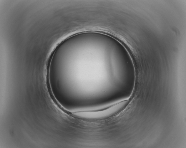 X0000112771508200908271630