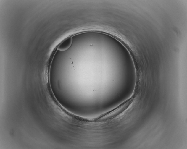 X0000112771510200908271630
