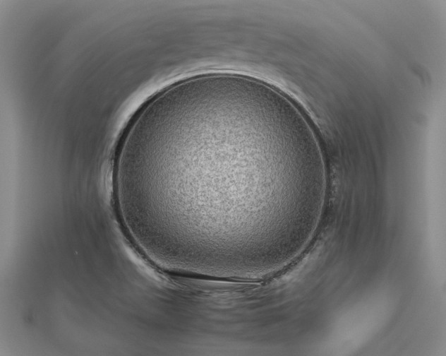 X0000112771511200908271630
