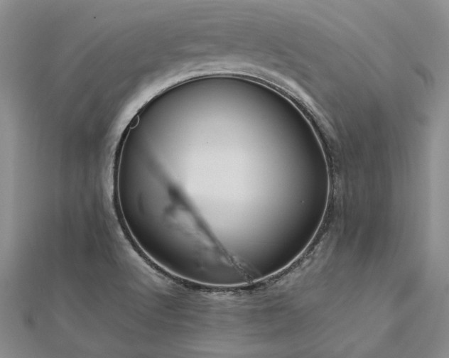 X0000112771512200908271630