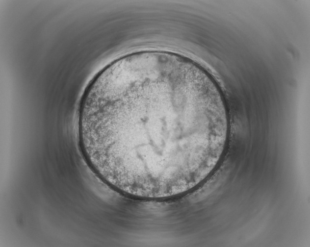 X0000112771514200908271630