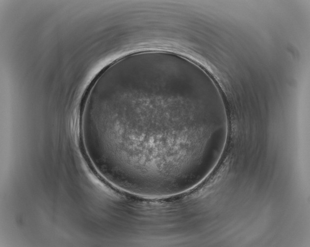 X0000112771515200908271630