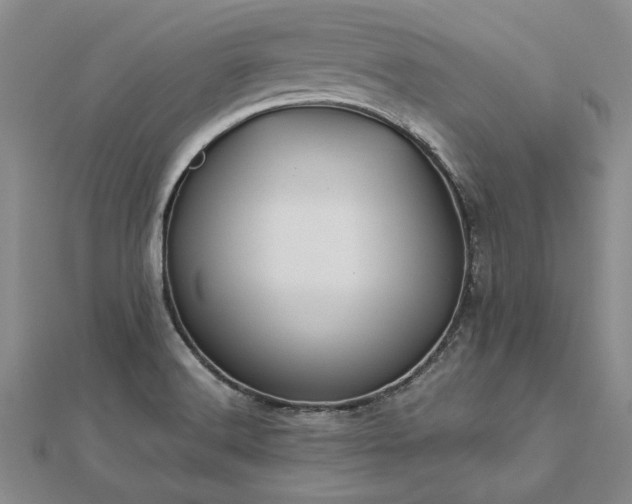 X0000112771516200908271630