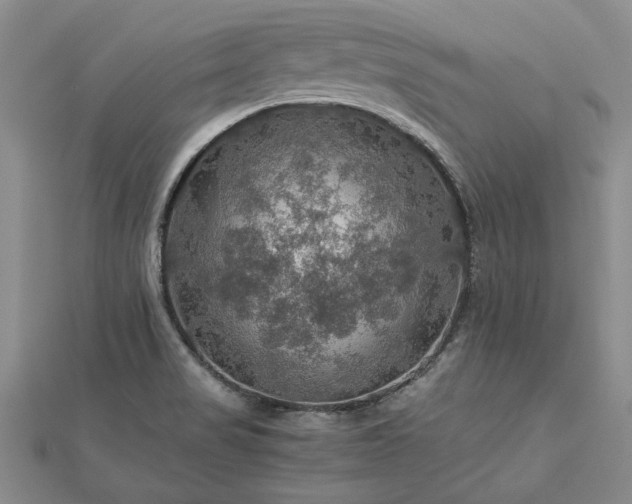X0000112771517200908271630