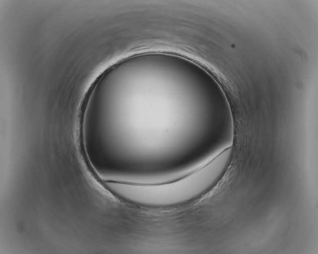 X0000112771518200908271630