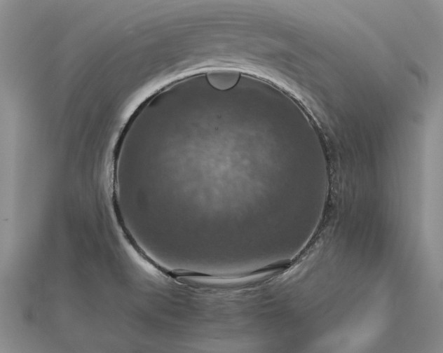 X0000112771519200908271630