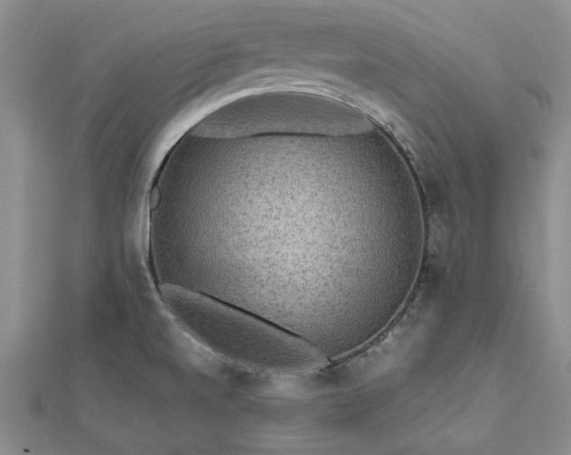 X0000112771520200908271630