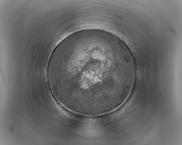 X0000112771521200908271630
