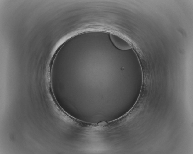 X0000112771522200908271630