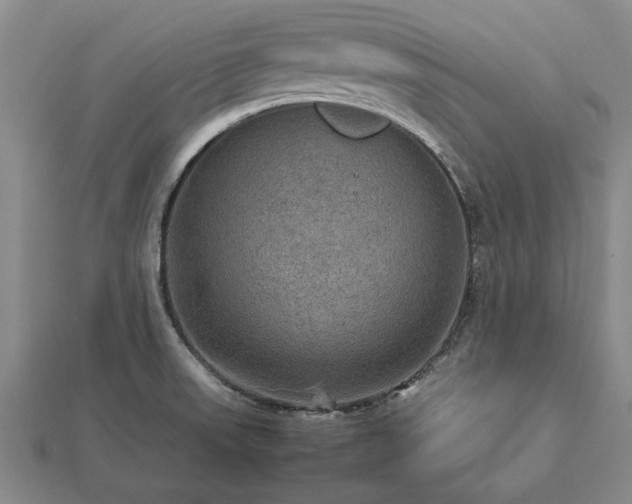 X0000112771523200908271630