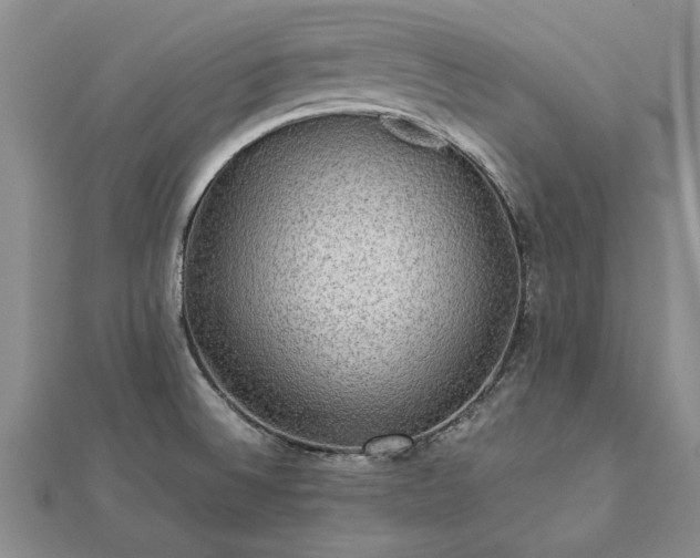 X0000112771524200908271630