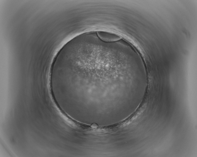 X0000112771525200908271630