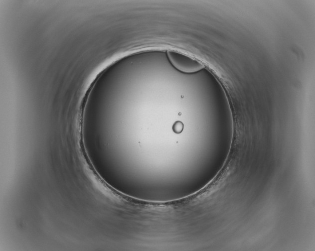 X0000112771526200908271630
