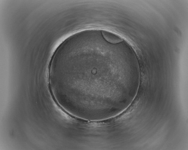 X0000112771527200908271630