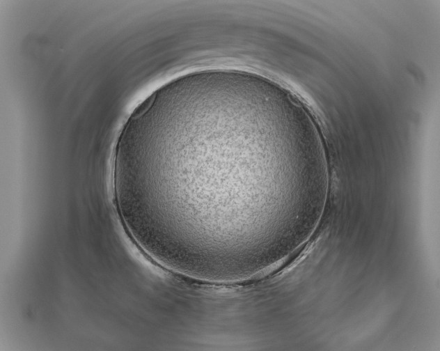 X0000112771528200908271630