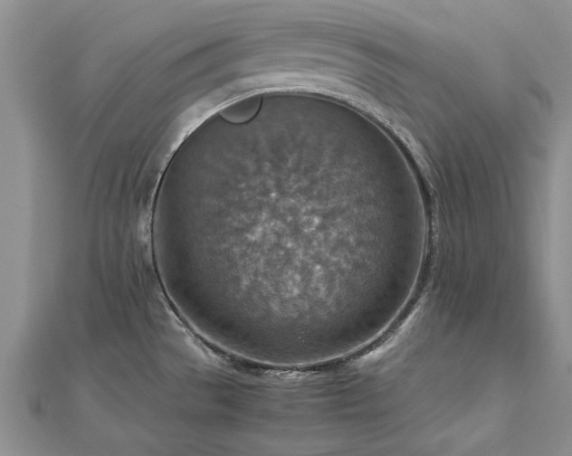 X0000112771529200908271630