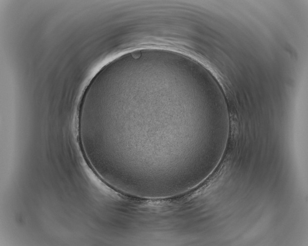X0000112771531200908271630