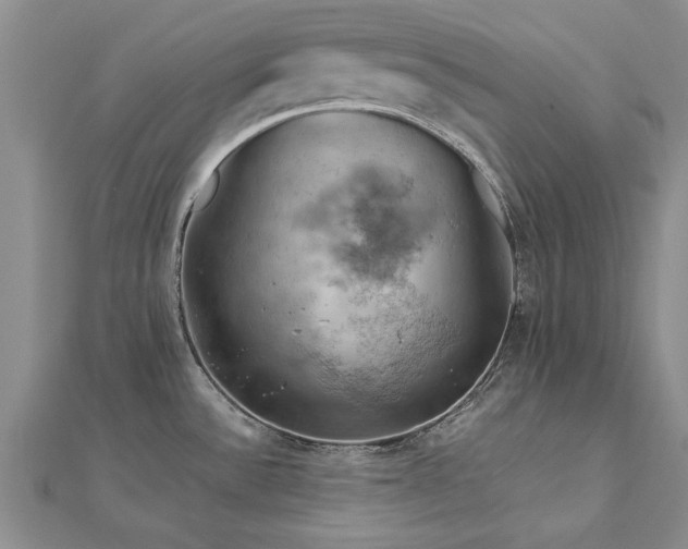 X0000112771532200908271630