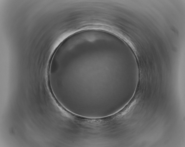 X0000112771533200908271630