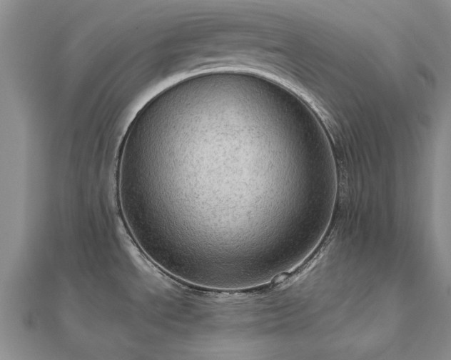 X0000112771534200908271630